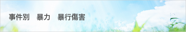 事件別:暴力:暴行傷害