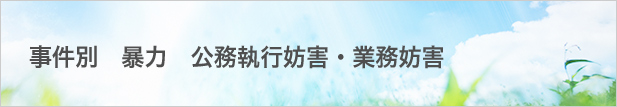 事件別:暴力:公務執行妨害・業務妨害