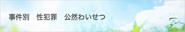 事件別 性犯罪 公然わいせつ